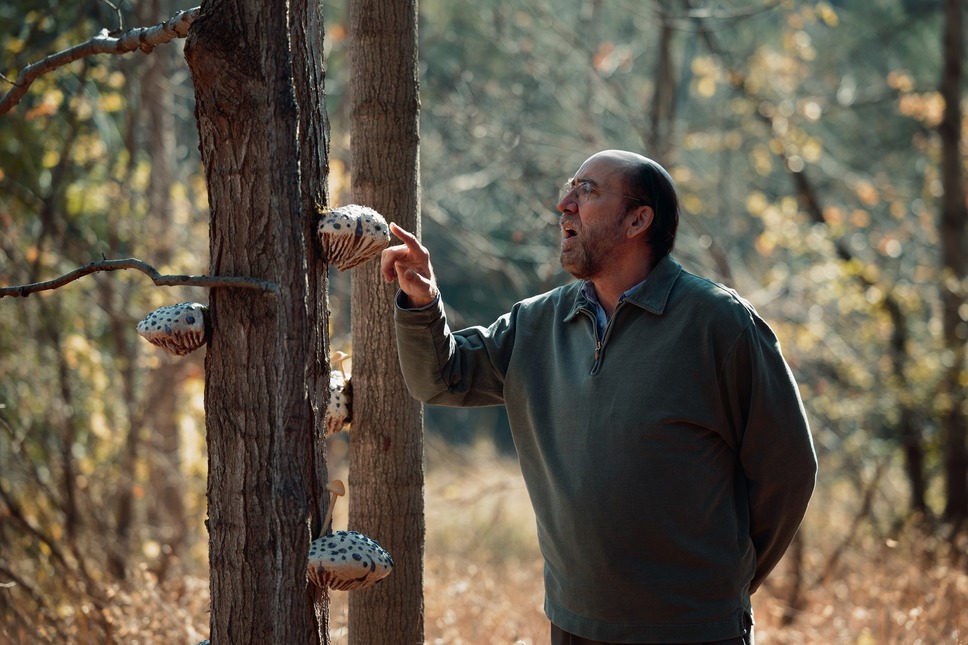 ドリーム・シナリオ 14枚目の写真・画像