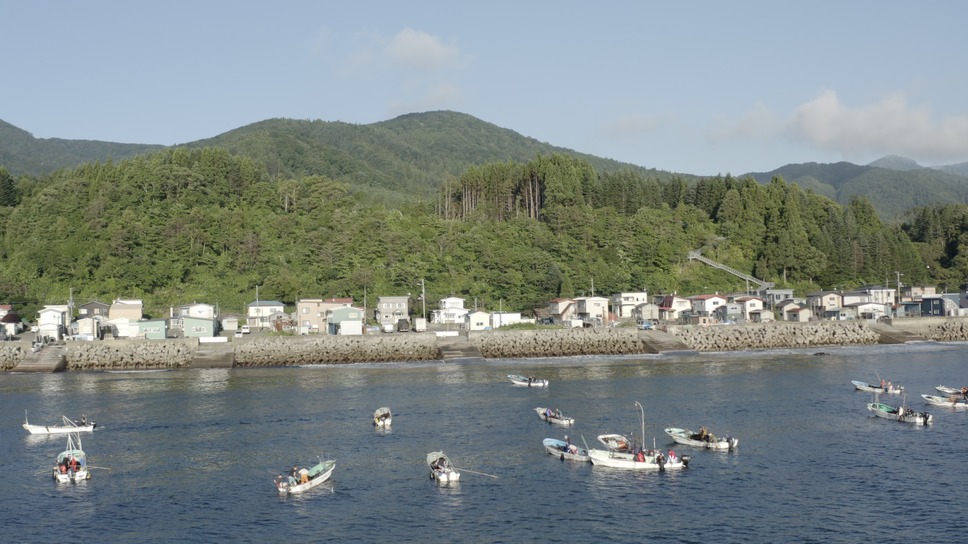 ここにいる、生きている。 〜消えゆく海藻の森に導かれて〜 3枚目の写真・画像