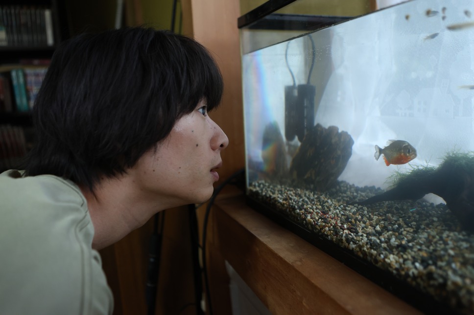 ナマズのいた夏 3枚目の写真・画像