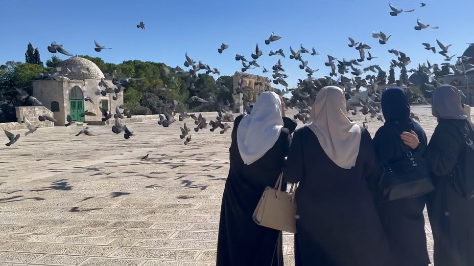 子どもたちはもう遊ばない 8枚目の写真・画像