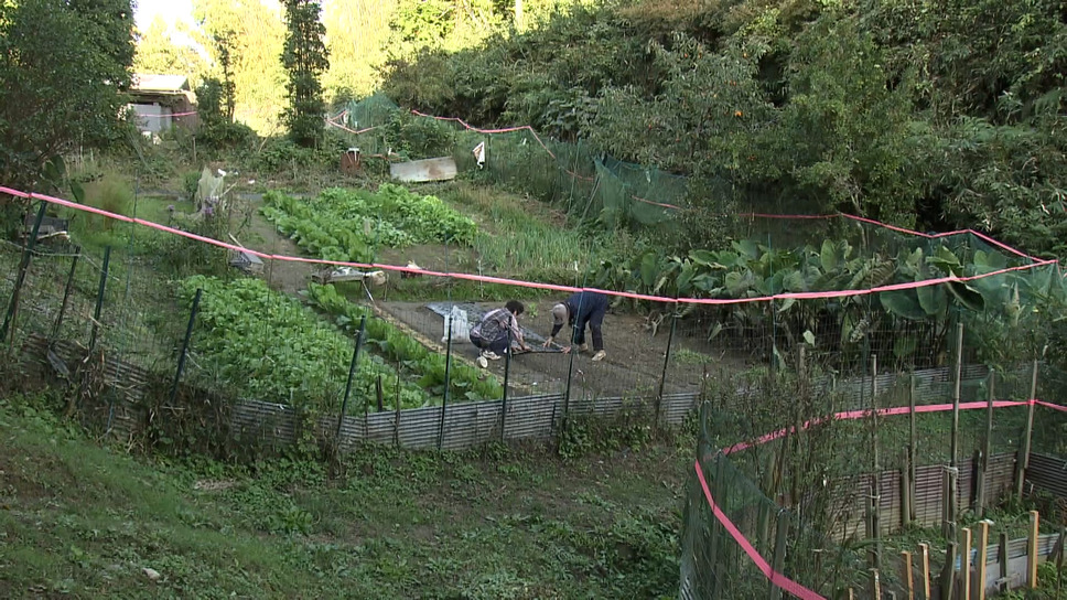 いもうとの時間 7枚目の写真・画像