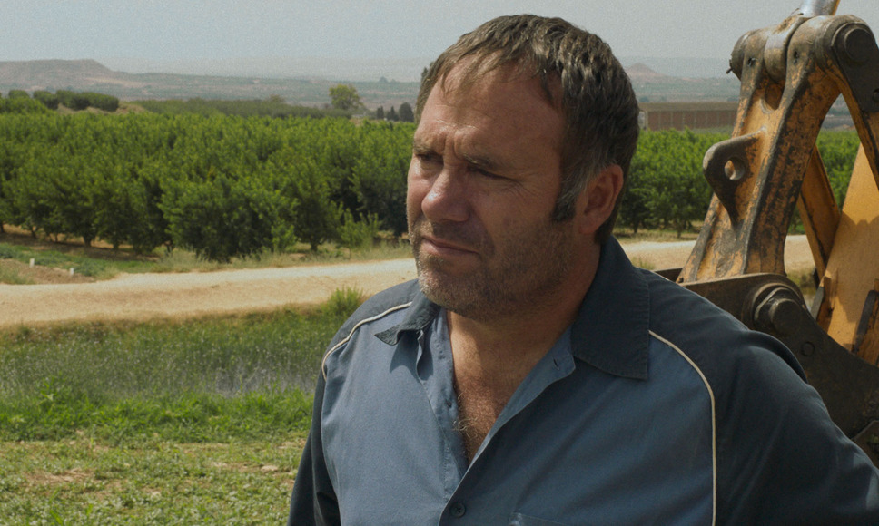 太陽と桃の歌 8枚目の写真・画像