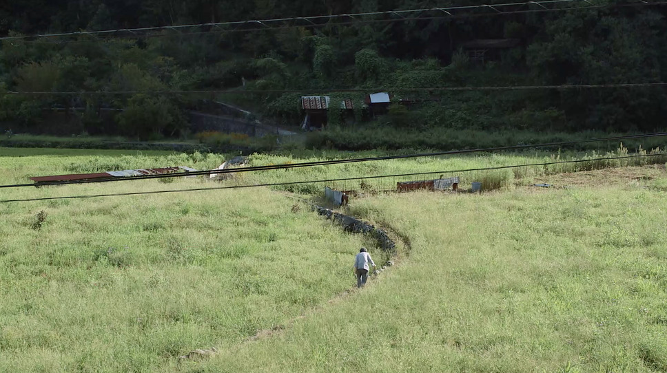 104歳、哲代さんのひとり暮らし 14枚目の写真・画像