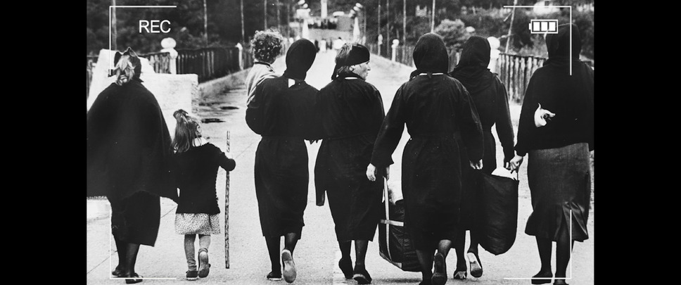 蝶の渡り 2枚目の写真・画像