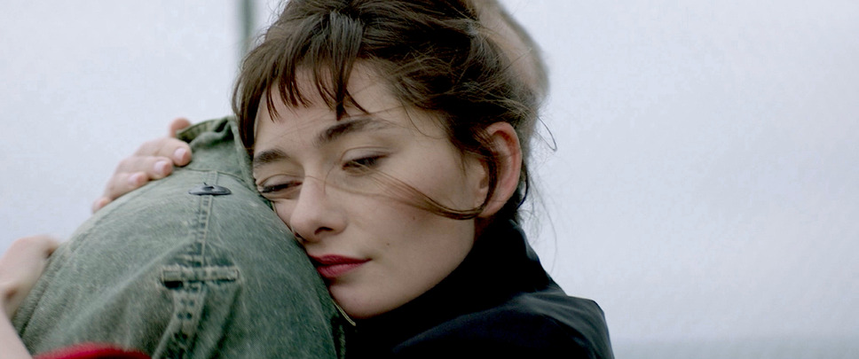 蝶の渡り 5枚目の写真・画像