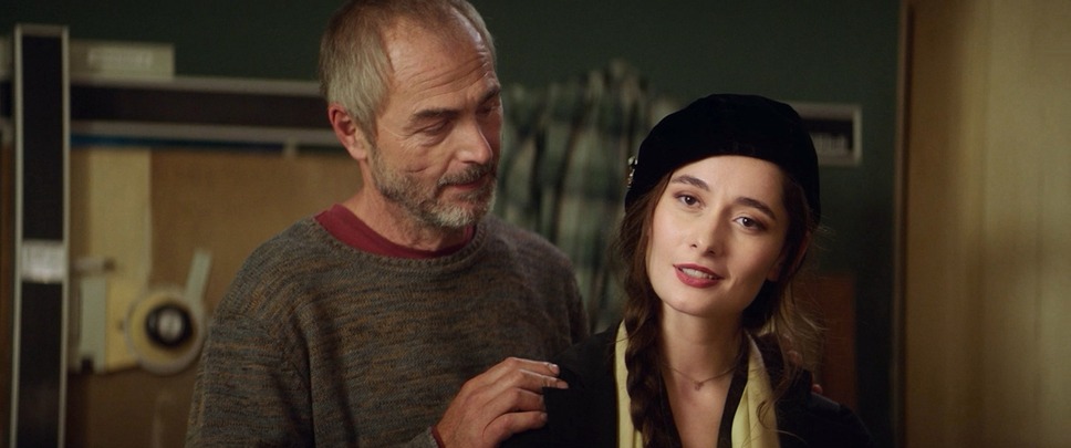 蝶の渡り 8枚目の写真・画像