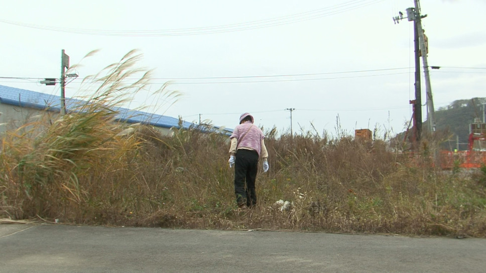 風に立つ愛子さん 7枚目の写真・画像