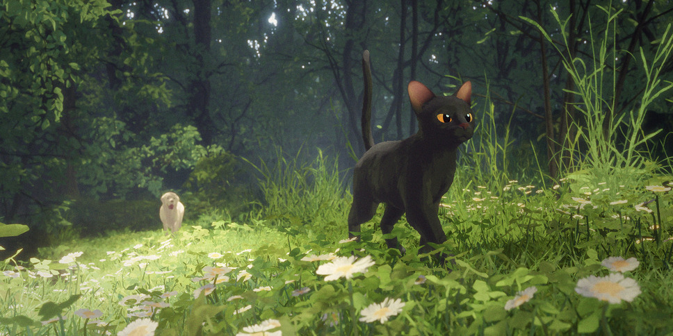 Flow 6枚目の写真・画像