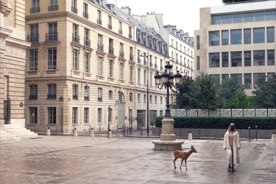 © FILM :  2022 - LES FILMS DU BÉLIER - MY NEW PICTURE - 9459-5154 QUÉBEC INC. - ARTE FRANCE CINÉMA - AMI PARIS - JAMAL ZEINAL-ZADE