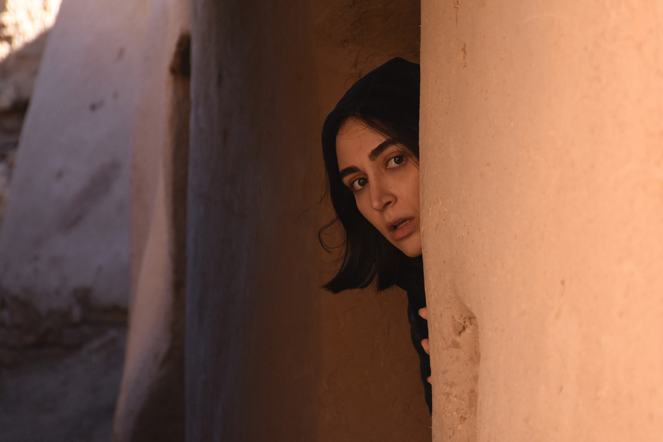 聖なるイチジクの種 5枚目の写真・画像