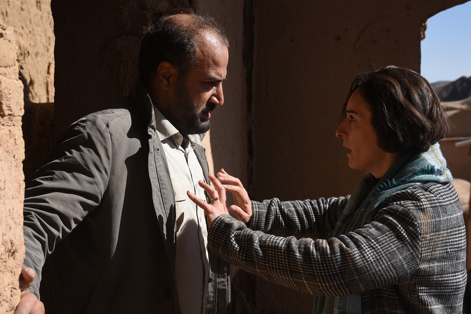 聖なるイチジクの種 6枚目の写真・画像