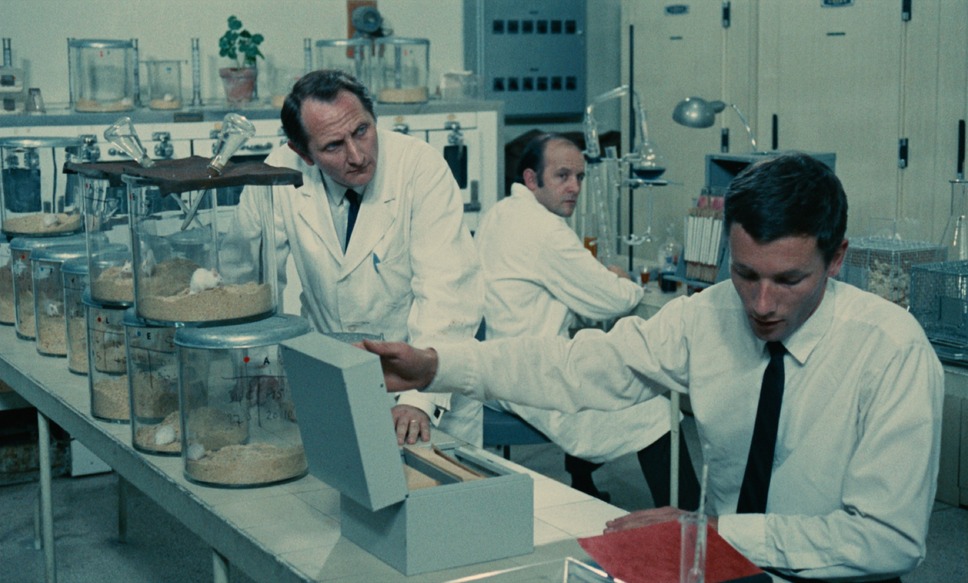 ジュ・テーム、ジュ・テーム 7枚目の写真・画像