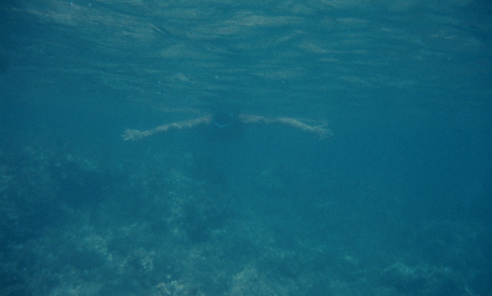 ジュ・テーム、ジュ・テーム 8枚目の写真・画像