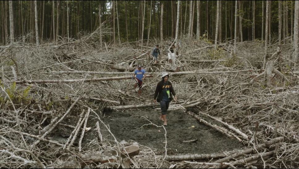 デリカド 9枚目の写真・画像