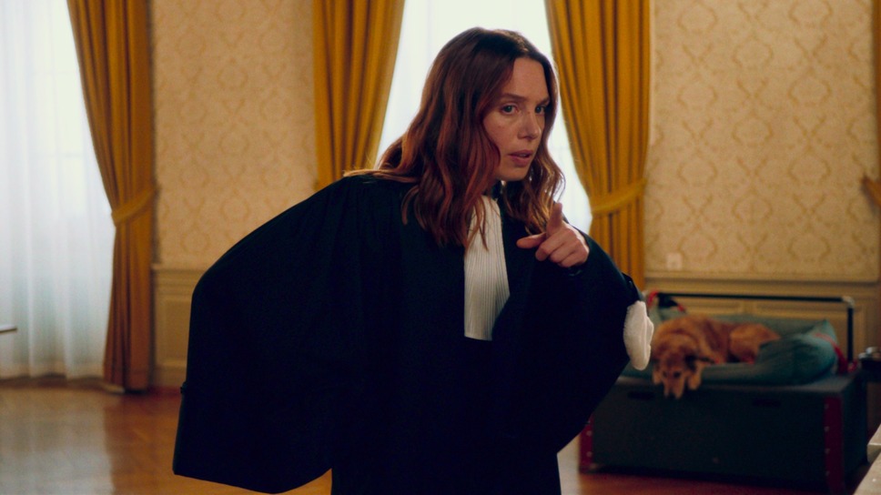 犬の裁判 6枚目の写真・画像