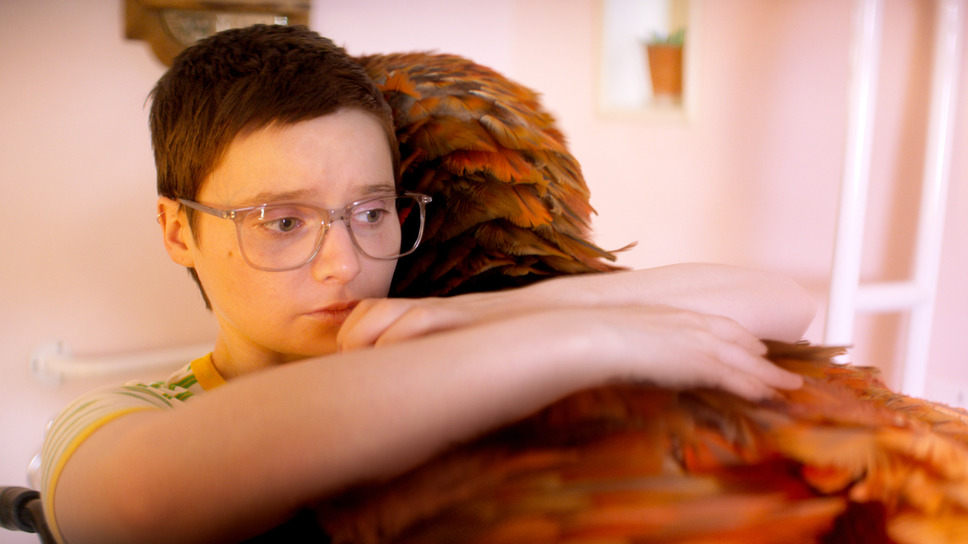 終わりの鳥 9枚目の写真・画像