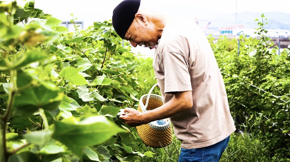 わたのまち、応答セヨ 2枚目の写真・画像