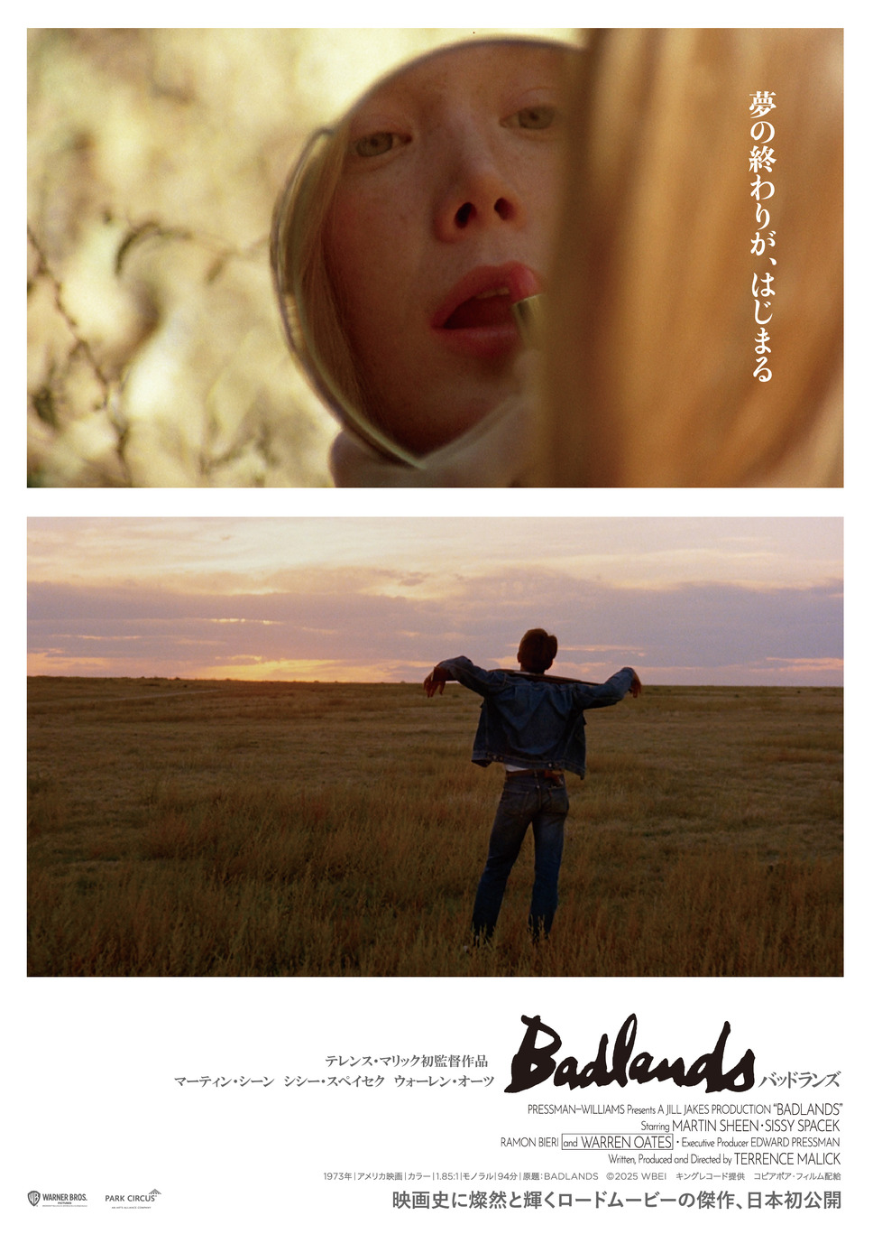 バッドランズ 2枚目の写真・画像