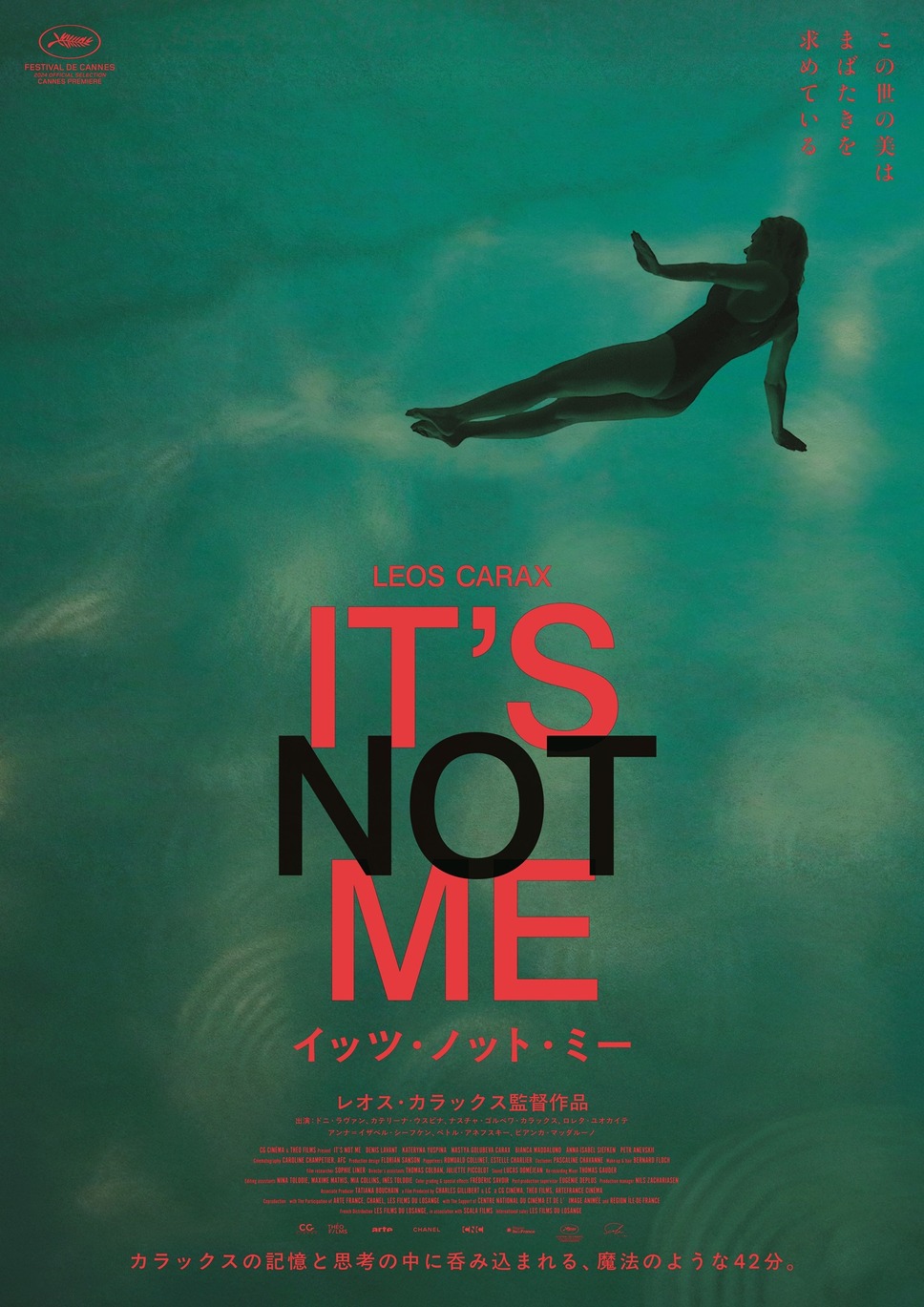 IT’S NOT ME イッツ・ノット・ミー 1枚目の写真・画像