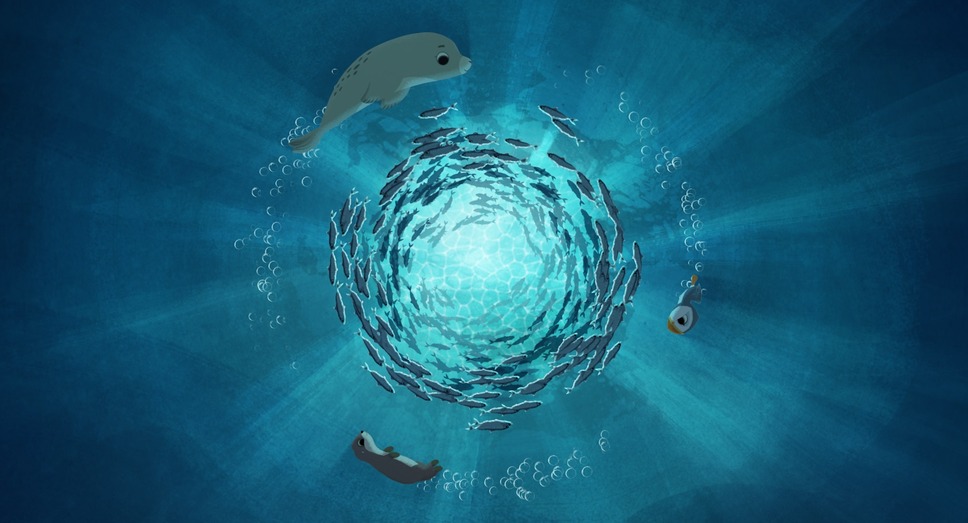 パフィンの小さな島 5枚目の写真・画像