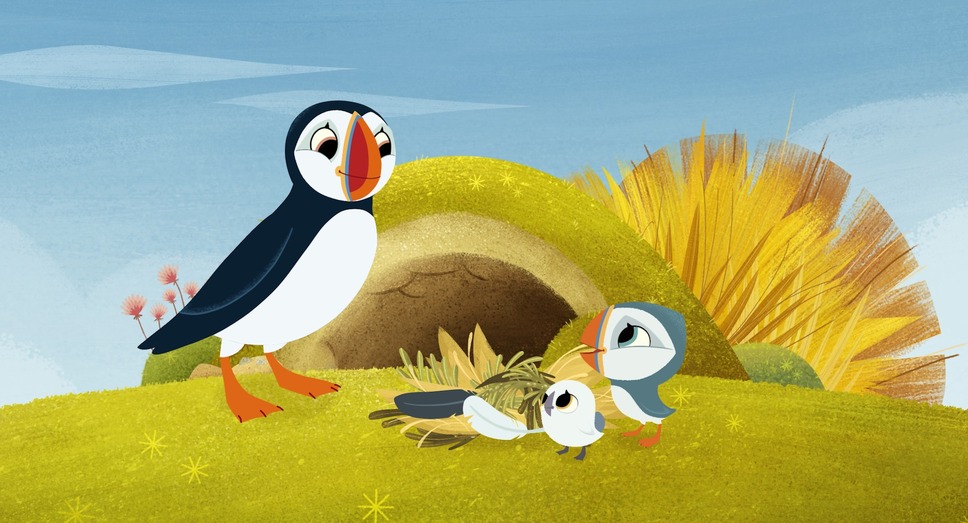 パフィンの小さな島 9枚目の写真・画像