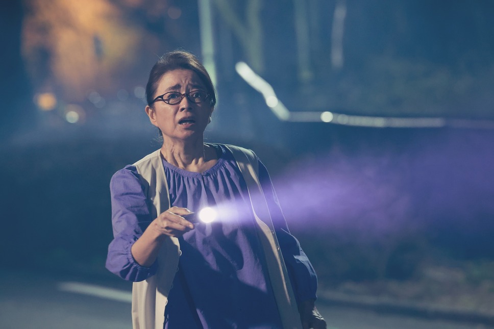 ドールハウス（2025） 11枚目の写真・画像