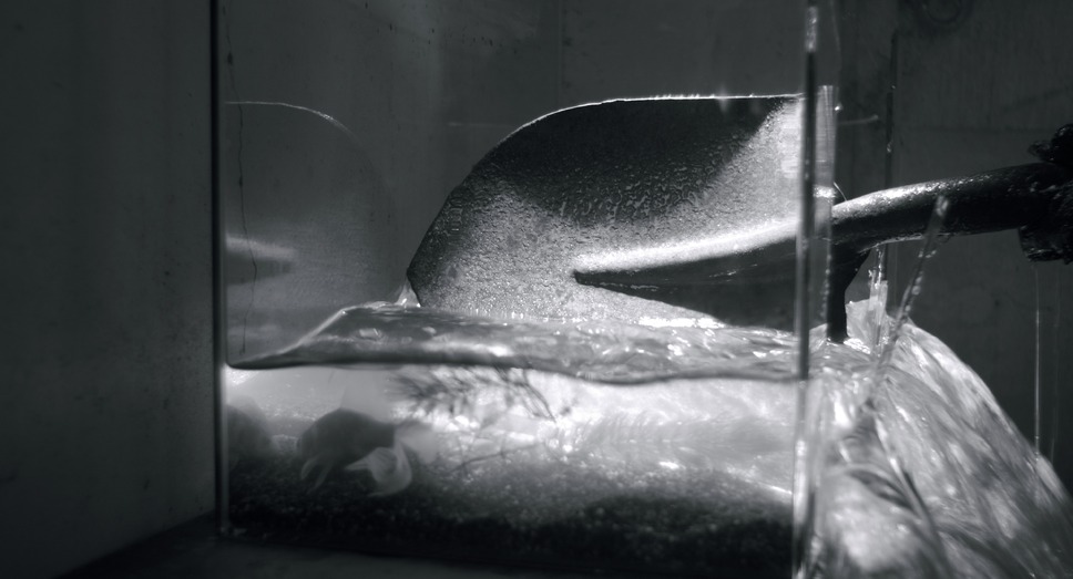 朝の火 9枚目の写真・画像