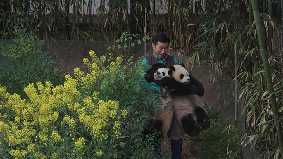 私の親愛なるフーバオ 5枚目の写真・画像