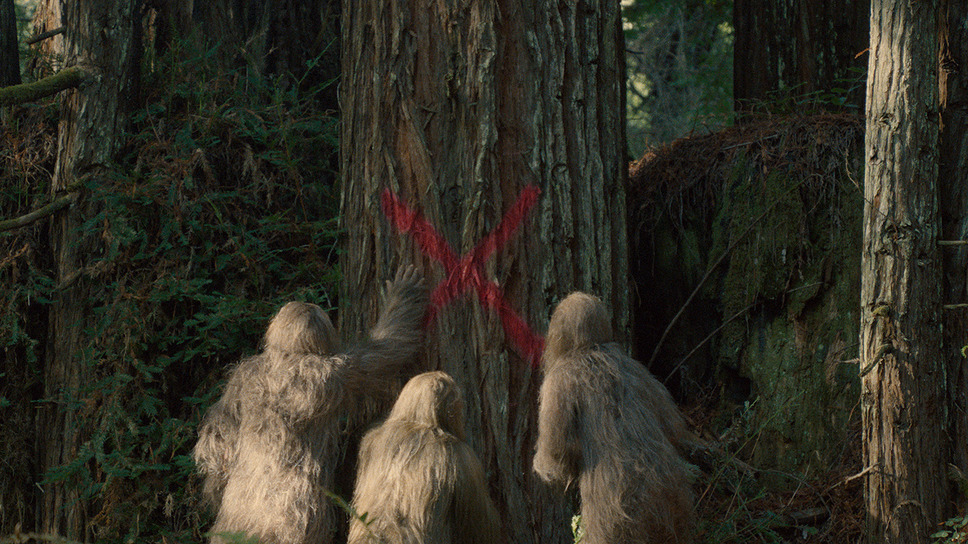 サスカッチ・サンセット 12枚目の写真・画像