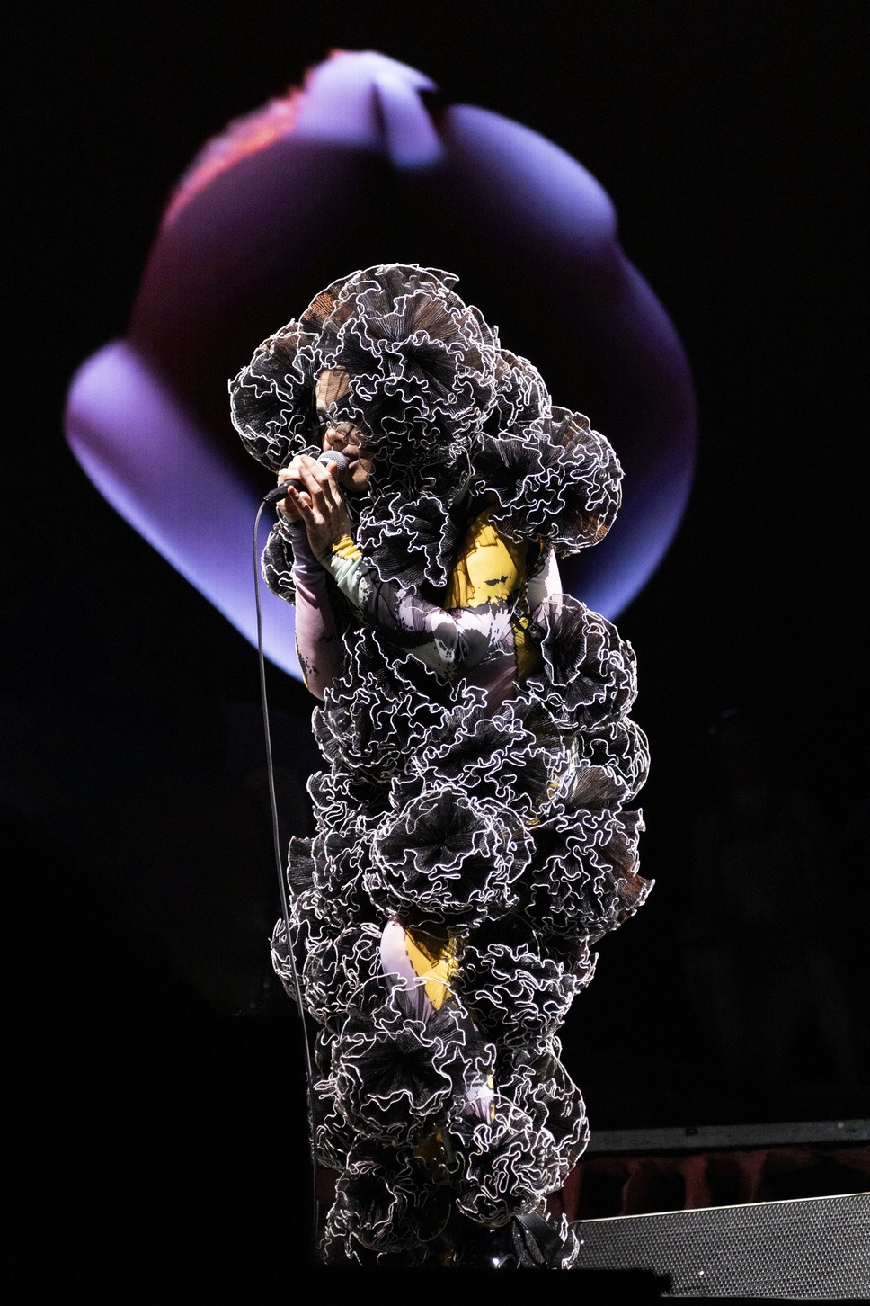 photo by Santiago Felipe