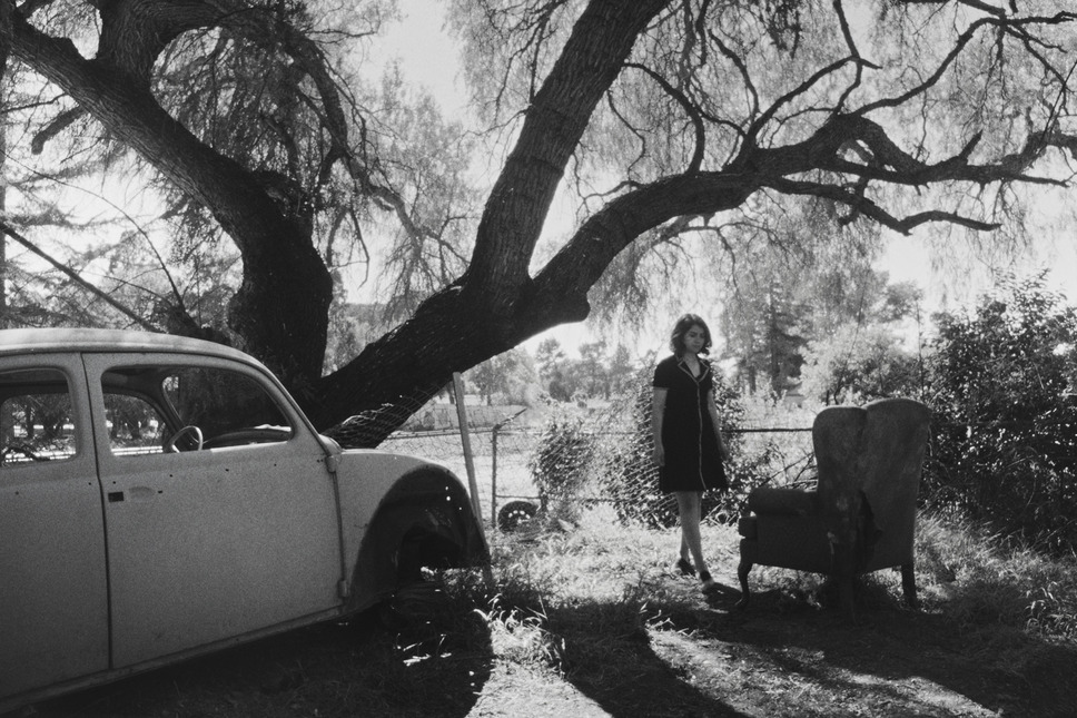 フォーチュンクッキー 8枚目の写真・画像