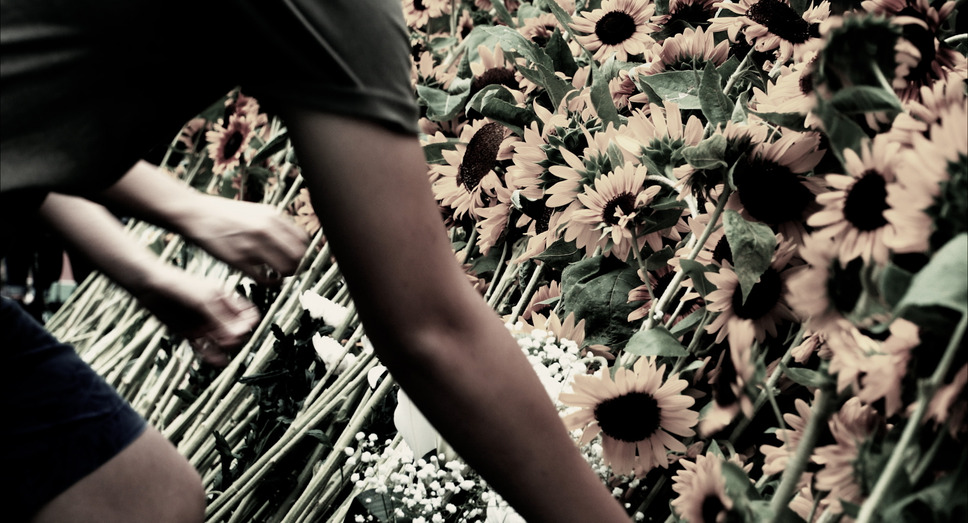 灰となっても 18枚目の写真・画像