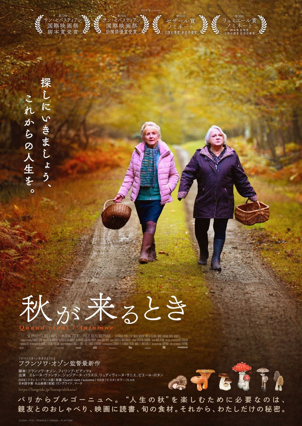 秋が来るとき 1枚目の写真・画像