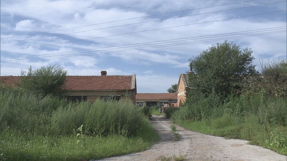 黒川の女たち 13枚目の写真・画像