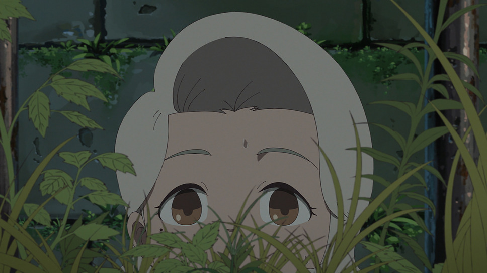 ホウセンカ 5枚目の写真・画像