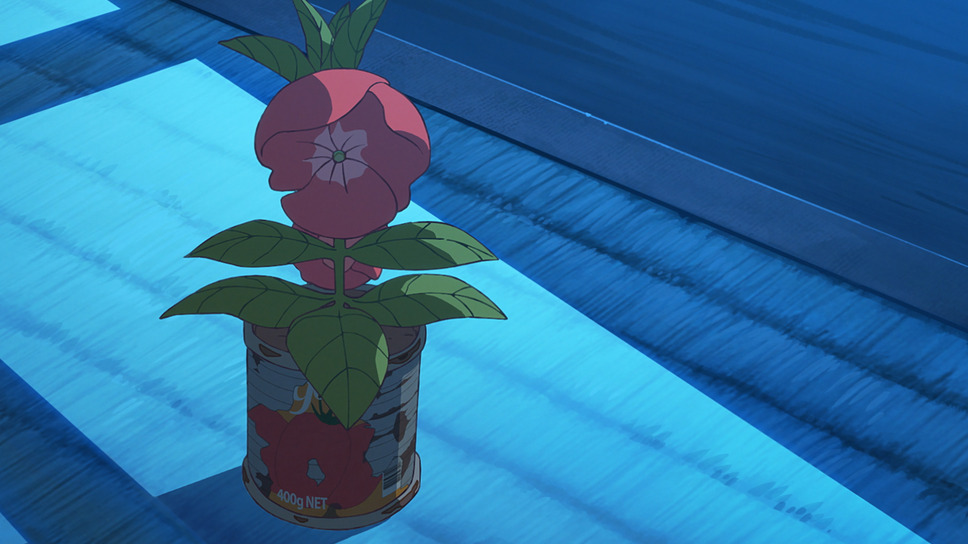 ホウセンカ 7枚目の写真・画像