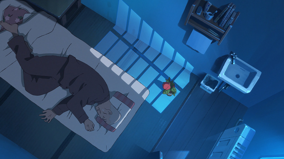 ホウセンカ 8枚目の写真・画像