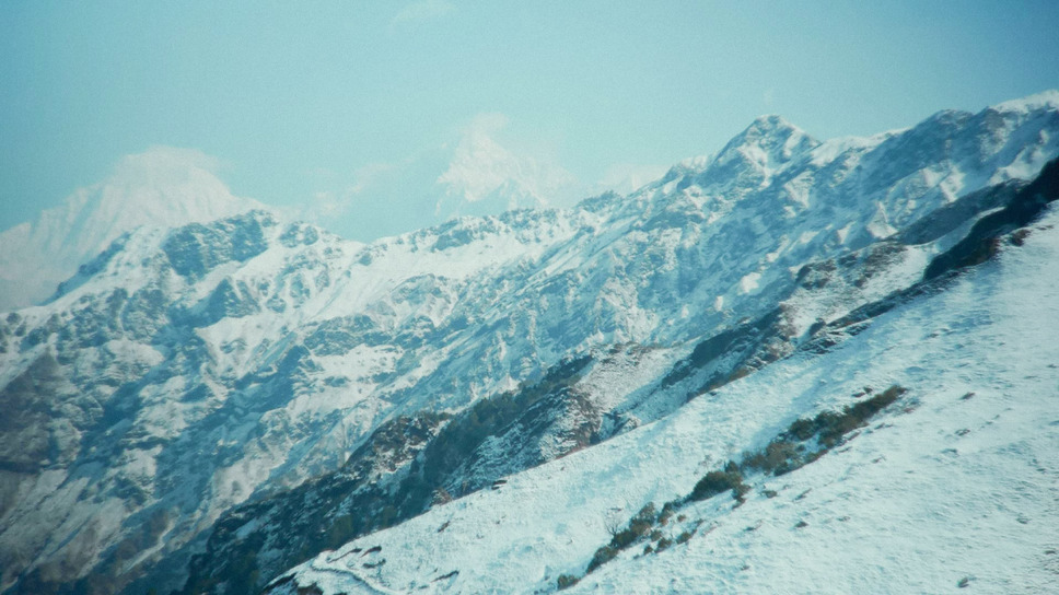 雪解けのあと 15枚目の写真・画像