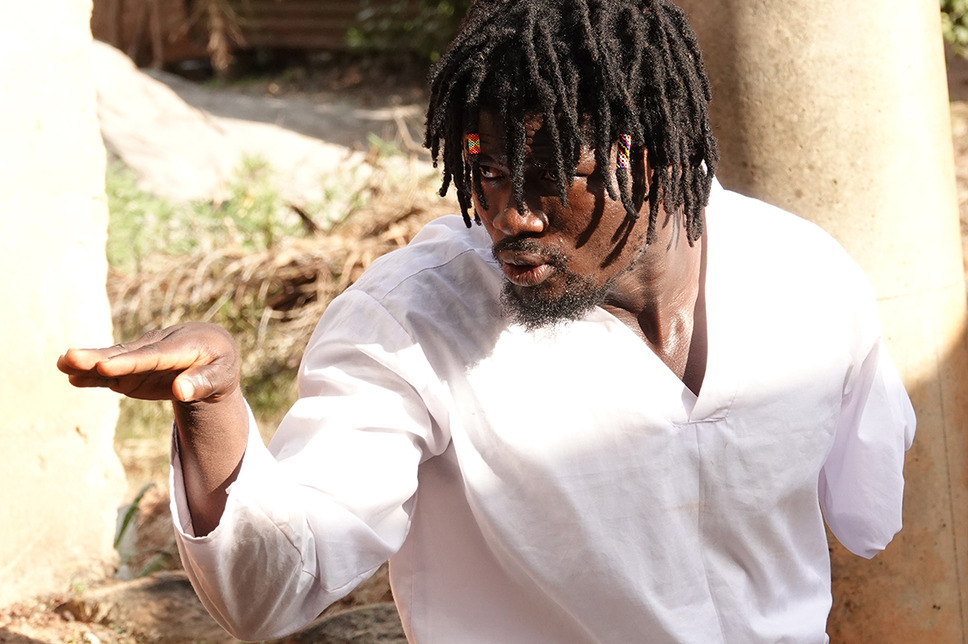 アフリカン・カンフー・ナチス２　逆襲のロボトラー 3枚目の写真・画像