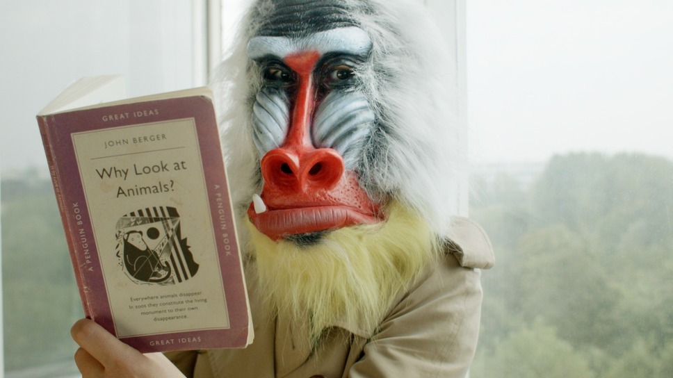 ジョン・バージャーと4つの季節 6枚目の写真・画像