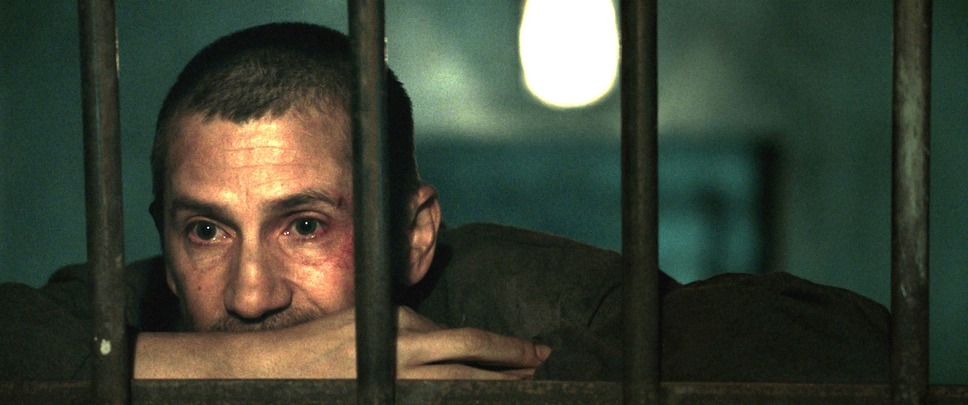 アメリカッチ　コウノトリと幸せな食卓 3枚目の写真・画像