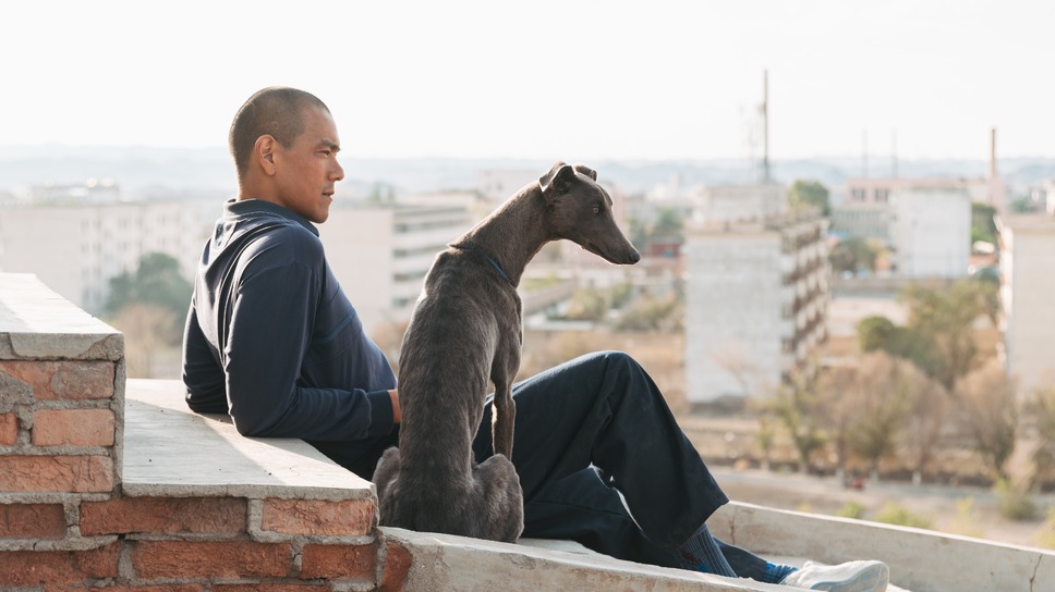 ブラックドッグ 7枚目の写真・画像