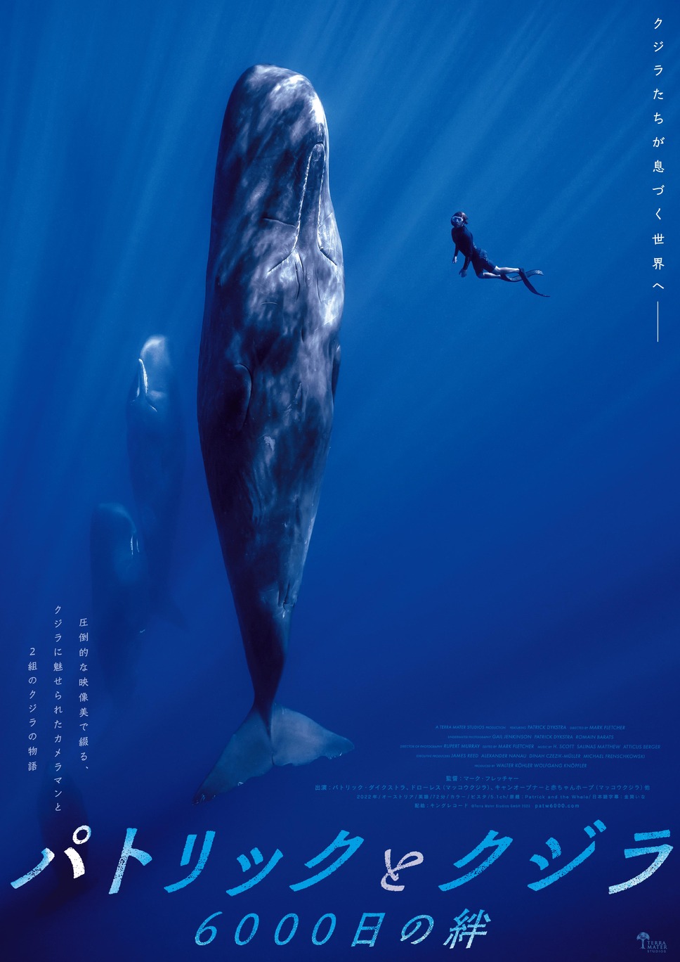 パトリックとクジラ 6000日の絆 1枚目の写真・画像