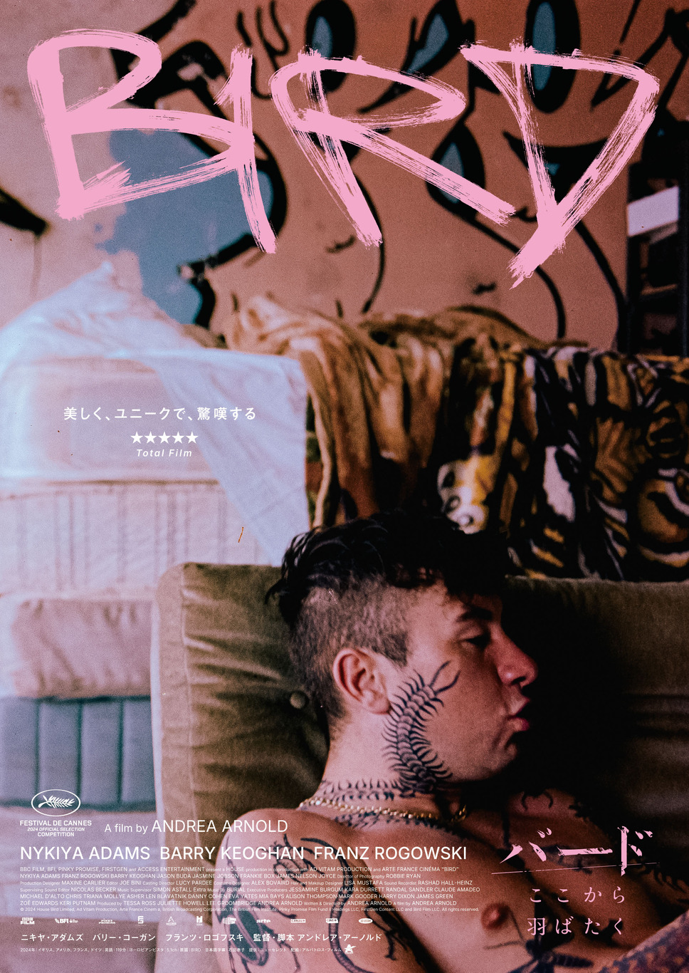 バード ここから羽ばたく 3枚目の写真・画像