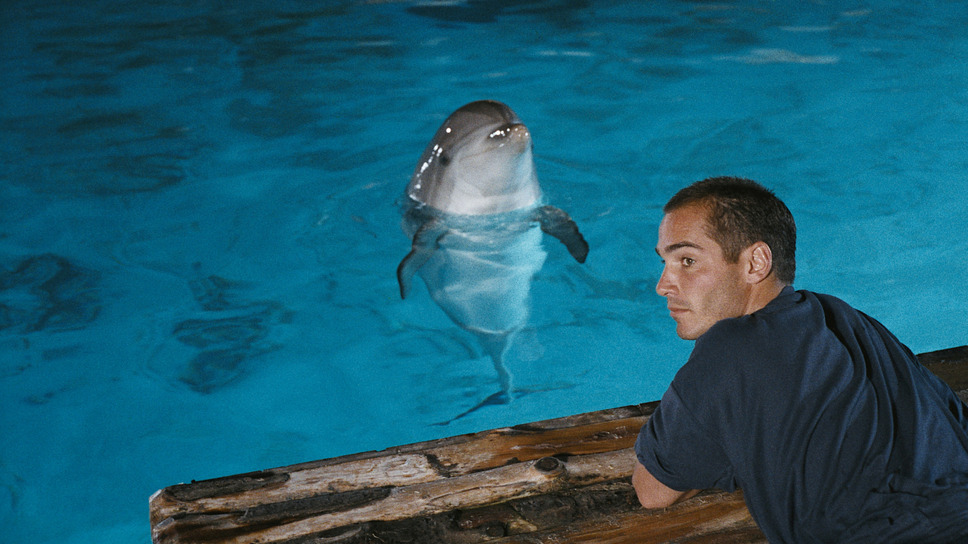 グラン・ブルー 完全版 4K 2枚目の写真・画像