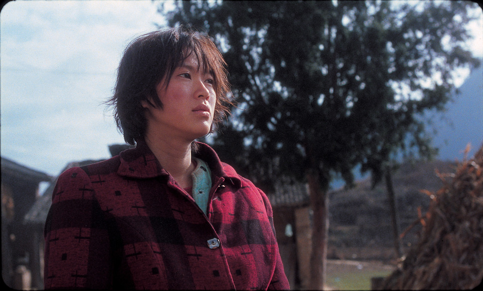 盲山 3枚目の写真・画像