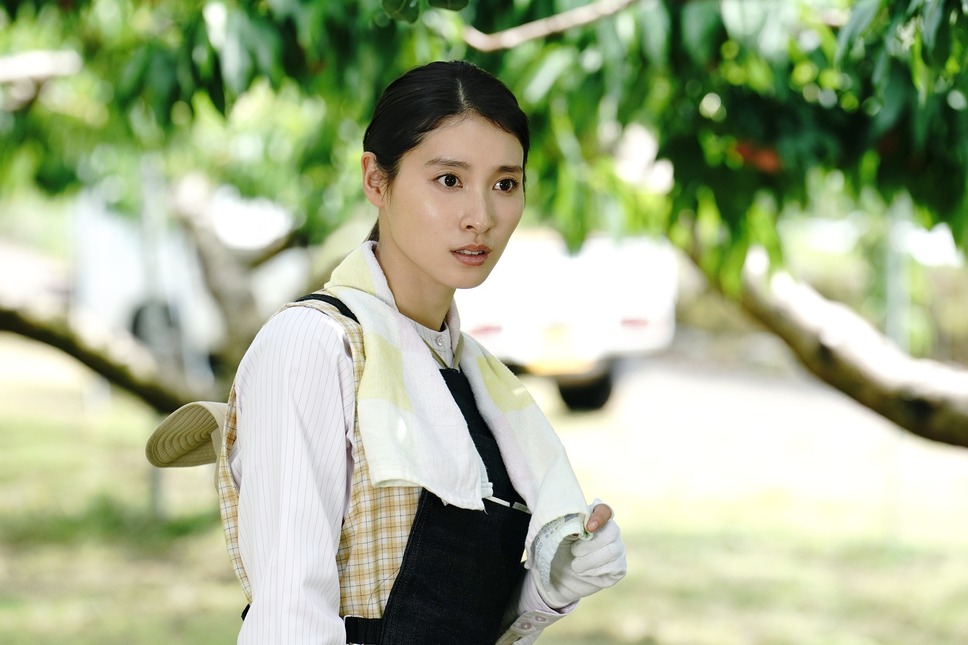 盤上の向日葵 10枚目の写真・画像