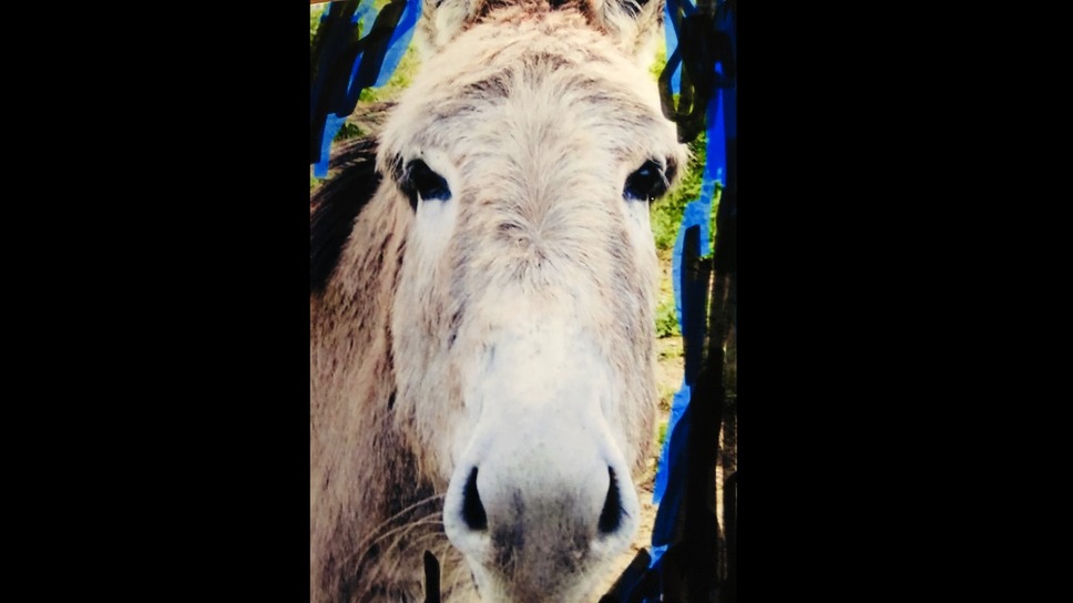 シナリオ 5枚目の写真・画像