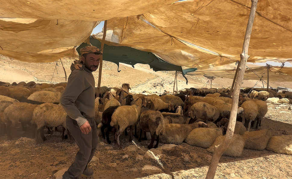 壁の外側と内側 5枚目の写真・画像