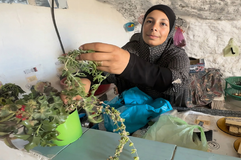 壁の外側と内側 13枚目の写真・画像